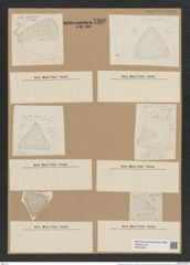 Triceratium interpunctatum Grun. (de-Toni-Nr.: Genus 140, Species 3878) Zeichnungen Sammlung Grunow Nr. 7366 (NHMW-BOT-W0376425)